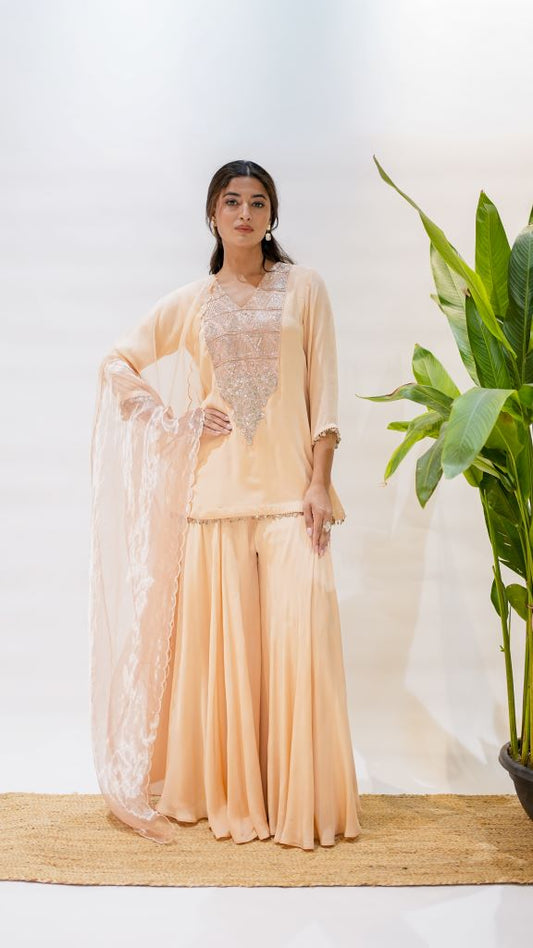 Triangle Short Kurta W|d Plazzo