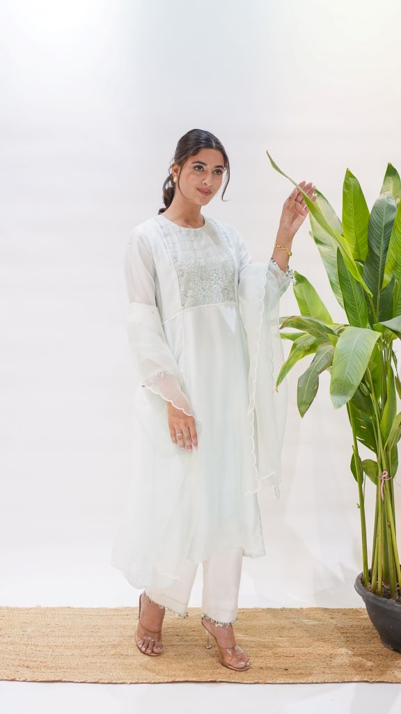Kaliyarn Firozi Yoke Panalled Anarkali Suit Set